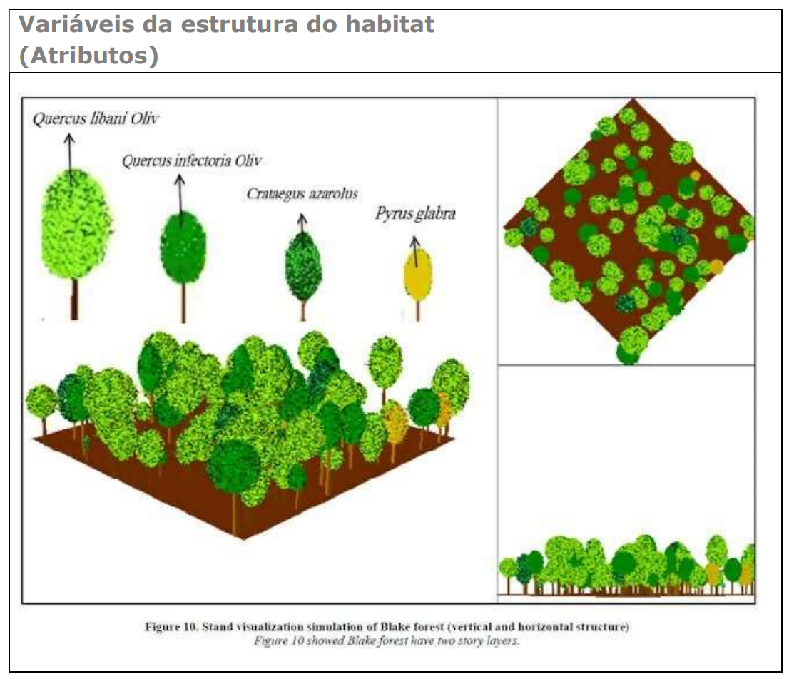 Imagem representativa da codificação das variáveis, para a medição da estrutura do habitat (atributos).